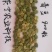 替代云南豆