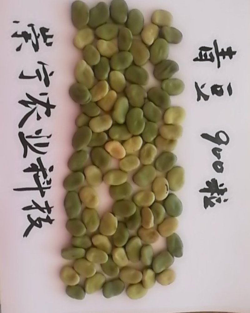 替代云南豆