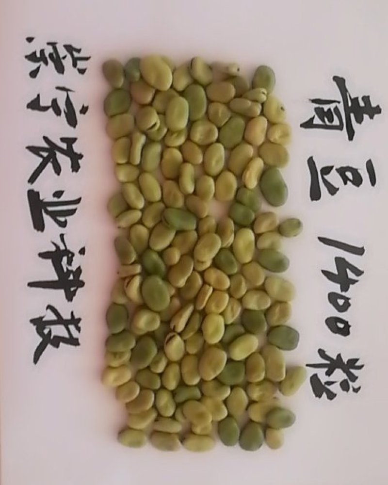 小青豆