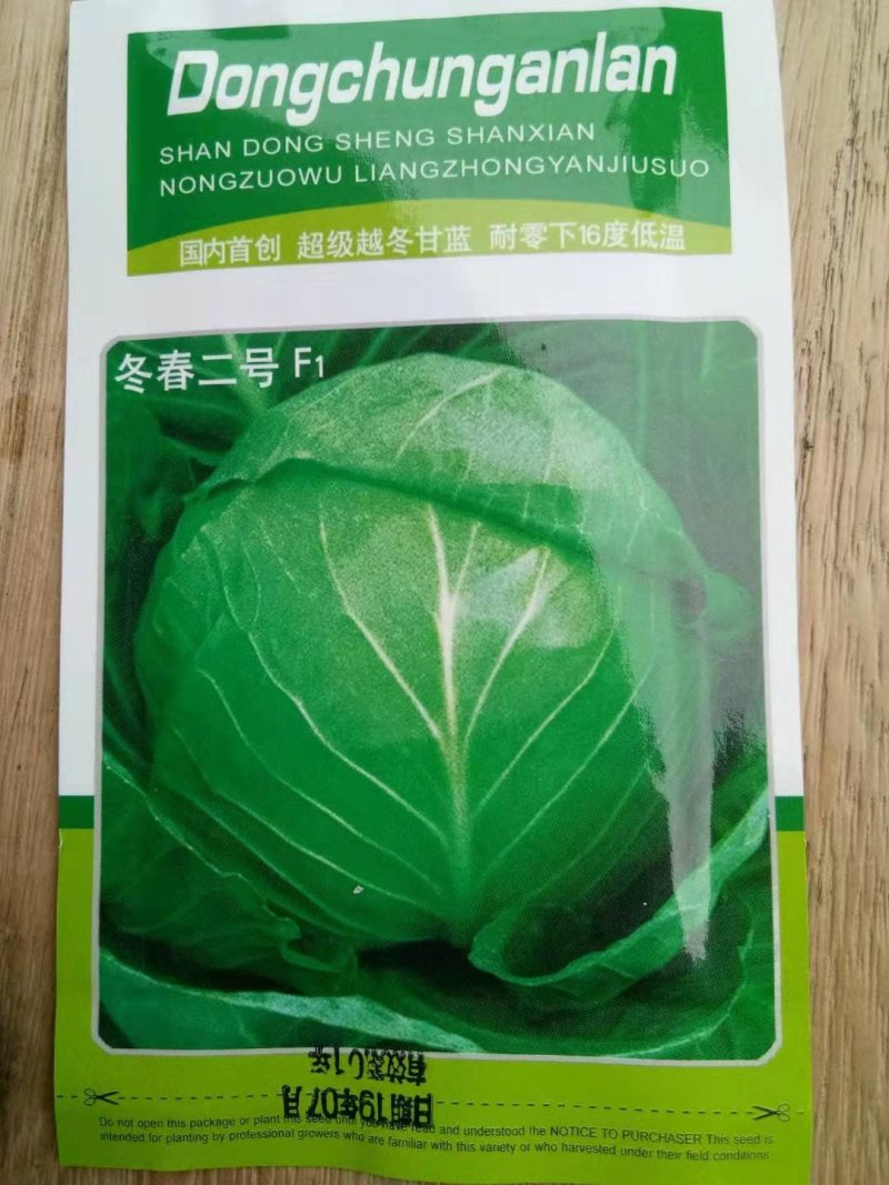 **越冬甘蓝东春2号早熟绿宝甘蓝种子韩绿甘蓝种子