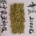 小小青豆
