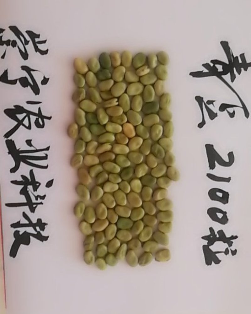 小小青豆