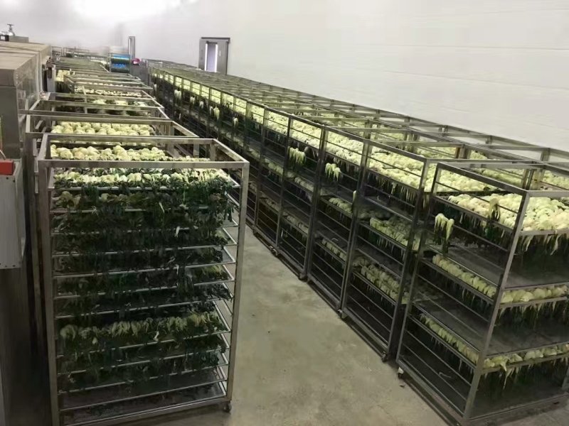 广东白菜干