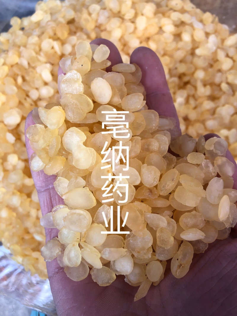 雪莲子皂角米食用特级双荚皂角米500克起批