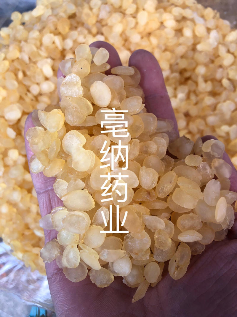 雪莲子皂角米食用特级双荚皂角米500克起批