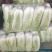 山东肥城精品大白菜北京新三号白菜产地直发一手货源