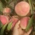 映霜红桃