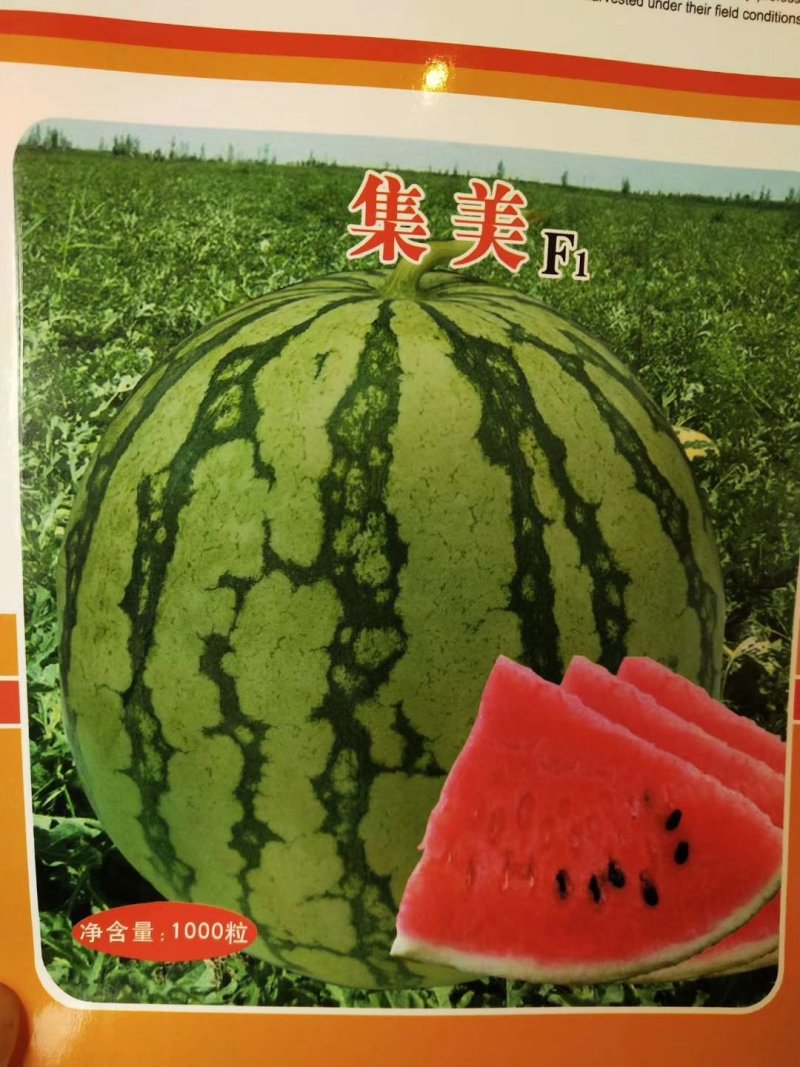 白美都外观靓丽美都京欣