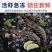 越南黑虎虾