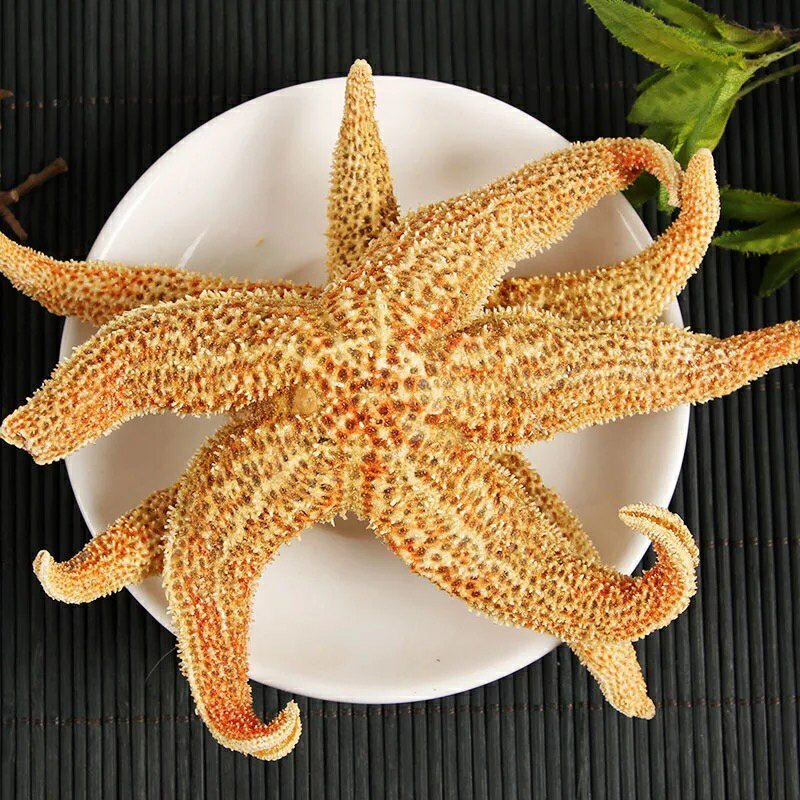 海星干红海星海鲜淡晒泡酒煲汤养生中药材干海星