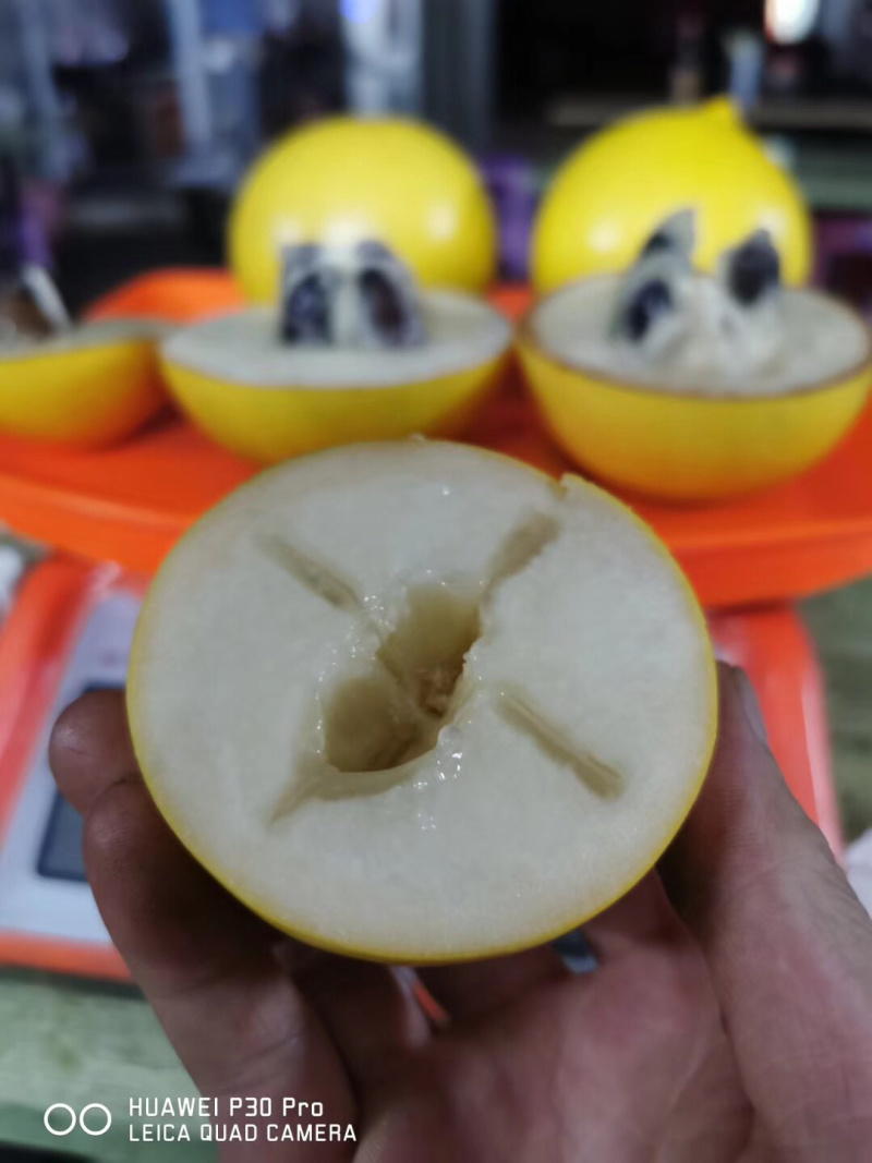 热带水果台湾黄晶果大量上市