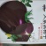 大紫黑柿子早熟嫩果绿色果熟紫黑色