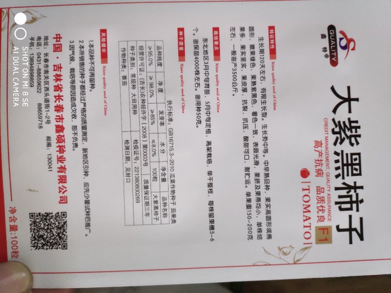 大紫黑柿子早熟嫩果绿色果熟紫黑色