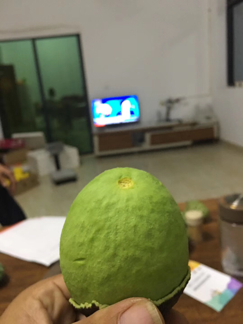 长期出售：哈斯牛油果，精品货源，批发零售，量大从优！