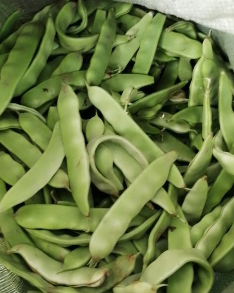 油豆角