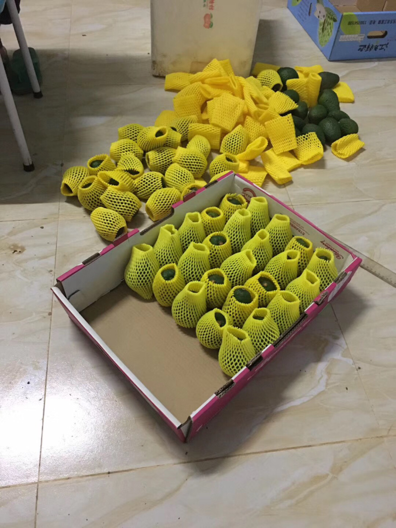 长期出售：哈斯牛油果，精品货源，批发零售，量大从优！