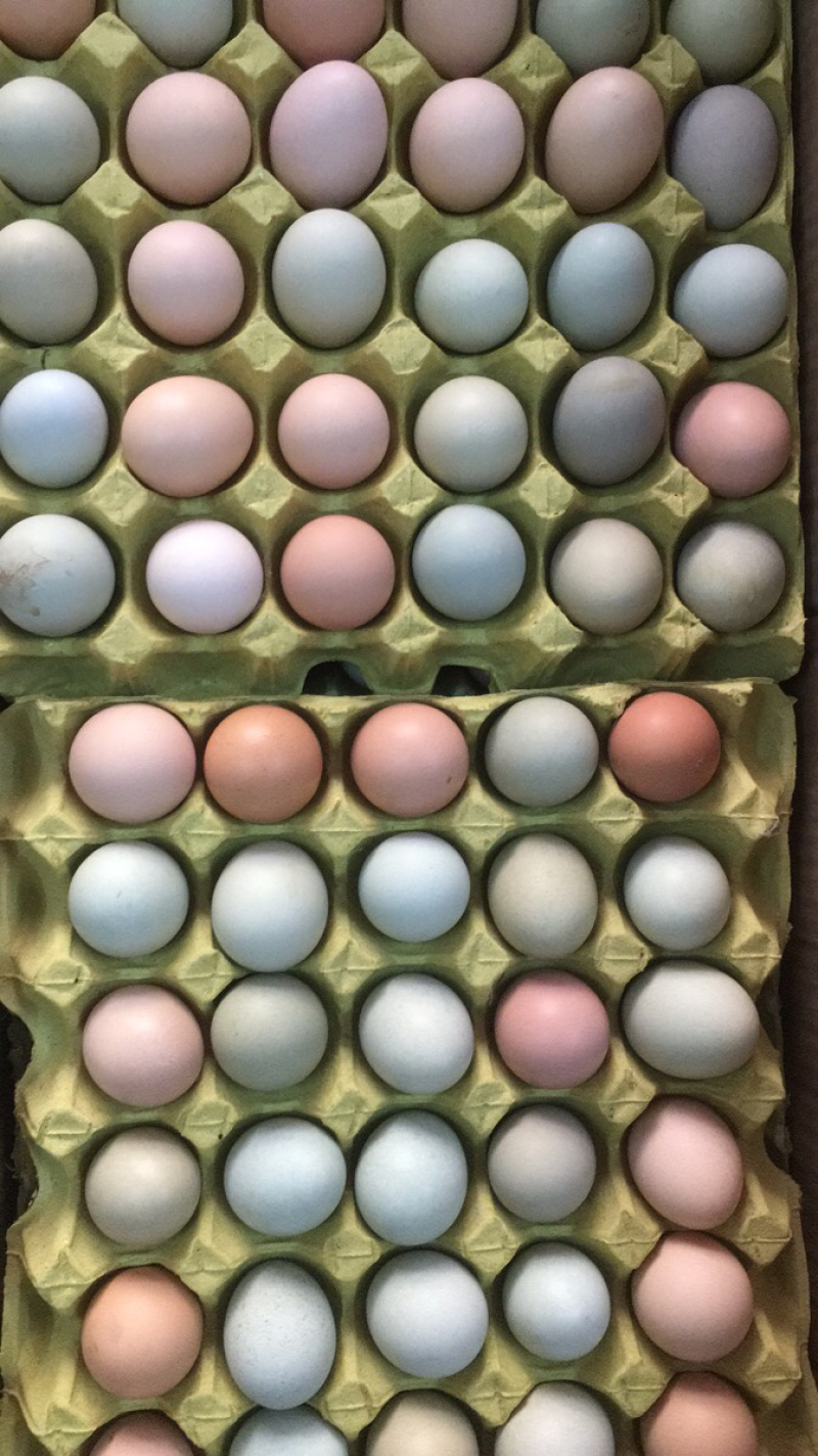 凯发禽蛋粮油批发
