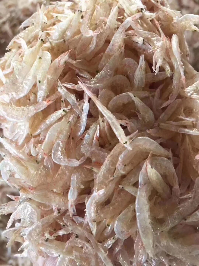 本港淡干虾皮干干度可以打粉