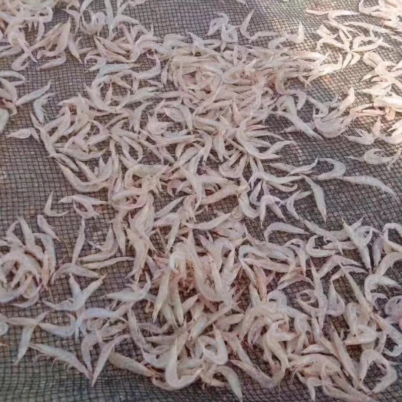 本港淡干虾皮干干度可以打粉