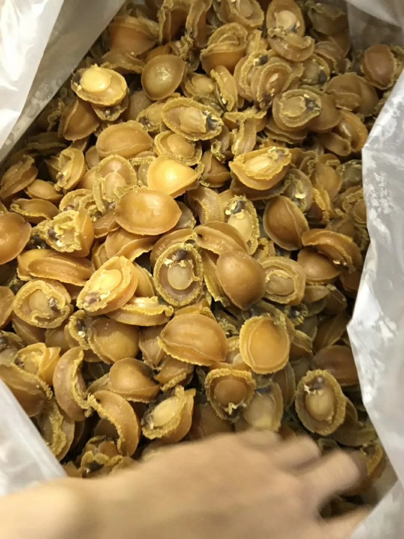 黄金小鲍鱼干货佛跳墙煲粥煲汤淡晒新鲜海鲜