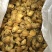 黄金小鲍鱼干货佛跳墙煲粥煲汤淡晒新鲜海鲜
