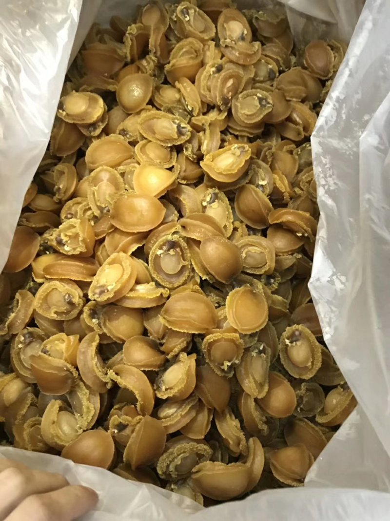 黄金小鲍鱼干货佛跳墙煲粥煲汤淡晒新鲜海鲜