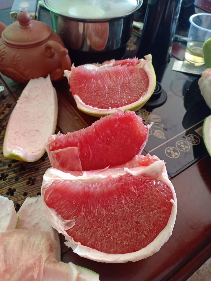 泰国红宝石青皮柚子苗