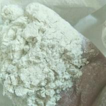 2023年新荞麦面粉，无任何添加，保证质量，量大从优