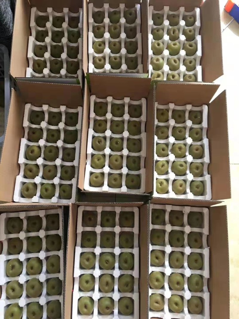 红心猕猴桃