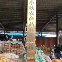 精品板栗南瓜贝贝南瓜软甜糯香，基地直发，电商供应