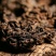 老茶头乔木老茶头熟茶普洱茶勐海料