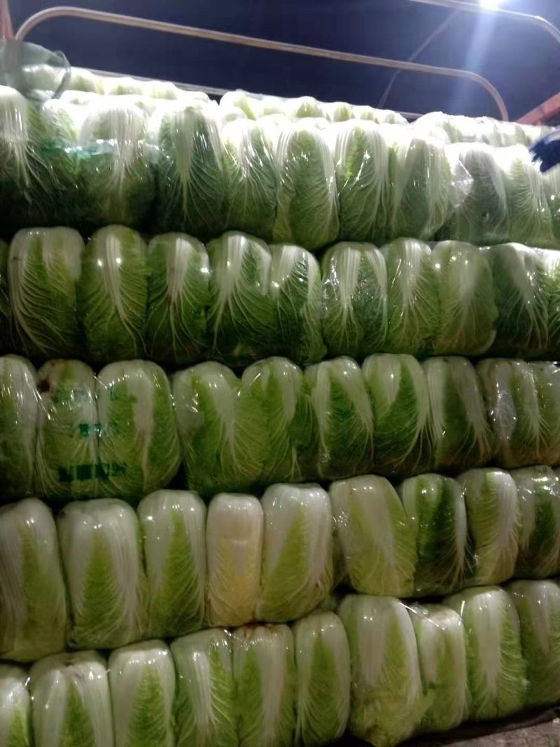 湖北白菜黄心大白菜批发商.电商.超市.加工厂合作共赢