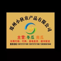 【推荐】精品黑皮吊冬瓜基地直供高品质耐运输全国发货优惠