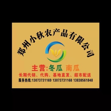 【推荐】精品黑皮吊冬瓜基地直供高品质耐运输全国发货优惠
