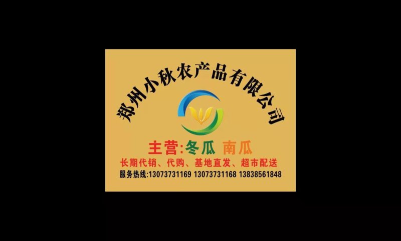 【推荐】精品黑皮吊冬瓜基地直供高品质耐运输全国发货优惠
