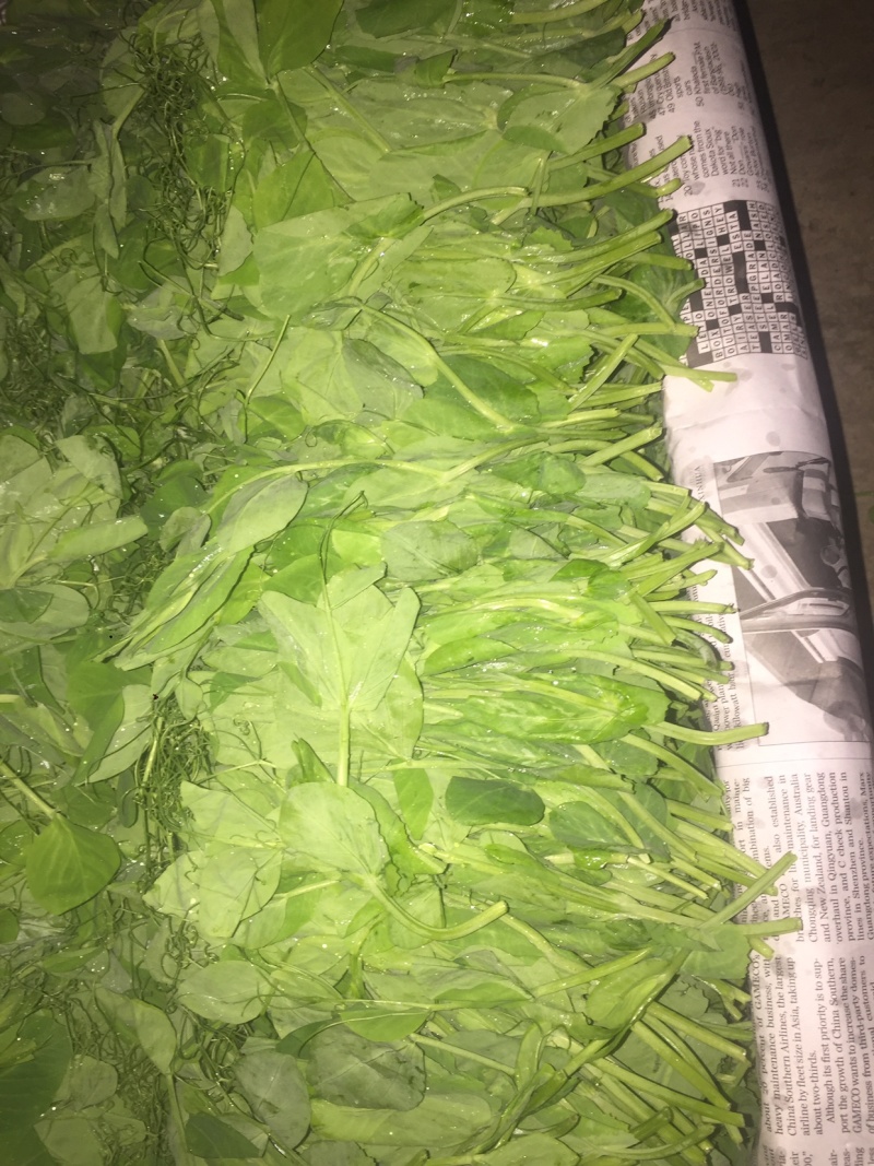 【有好货】精品豌豆尖【渝绿生鲜】有好货