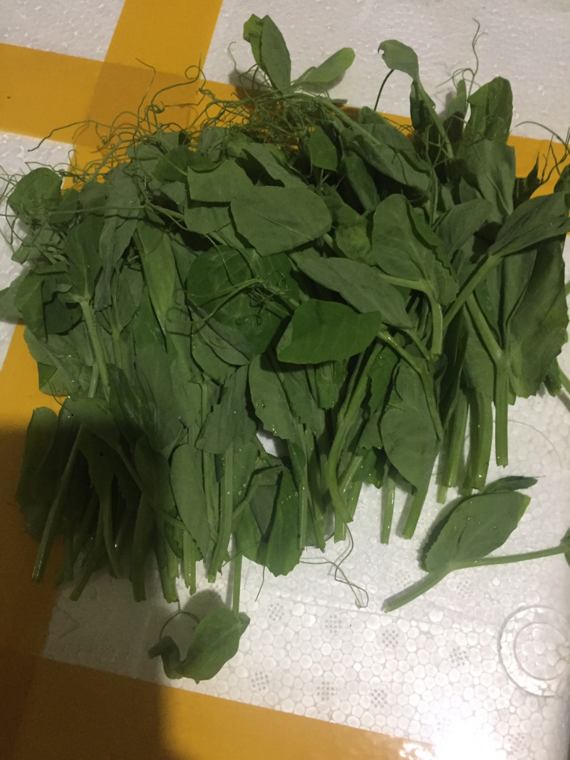 【有好货】精品豌豆尖【渝绿生鲜】有好货