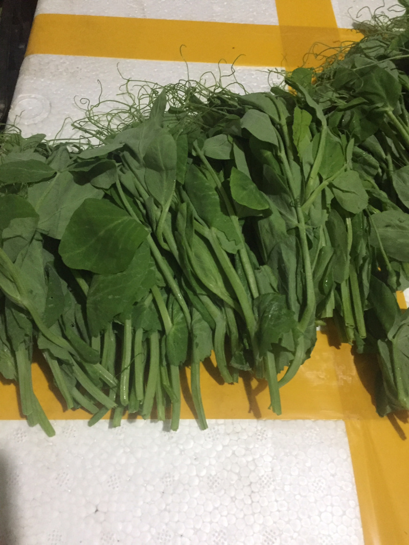 【有好货】精品豌豆尖【渝绿生鲜】有好货