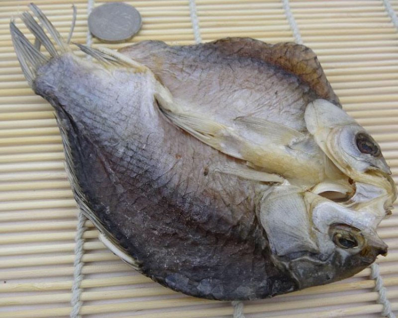 野生风干鲫鱼