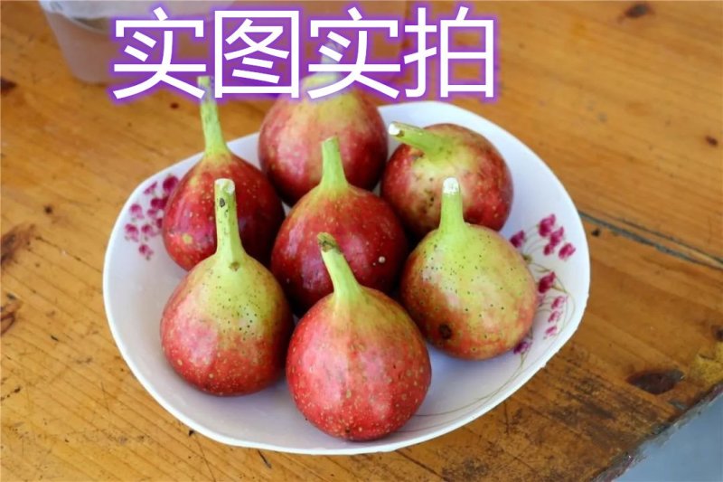 波姬红无花果南北方种植盆栽地栽优质苗精选苗