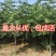 波姬红无花果南北方种植盆栽地栽优质苗精选苗