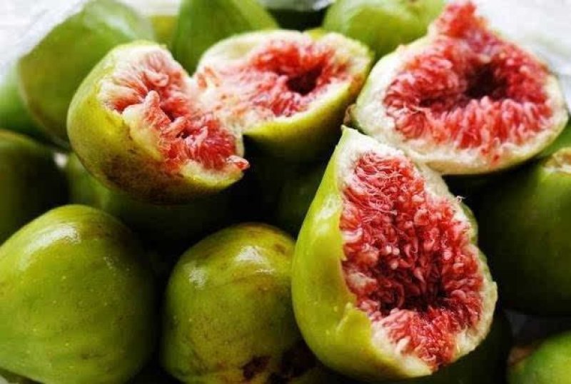 波姬红无花果南北方种植盆栽地栽优质苗精选苗