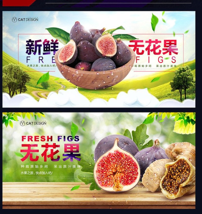 波姬红无花果南北方种植盆栽地栽优质苗精选苗