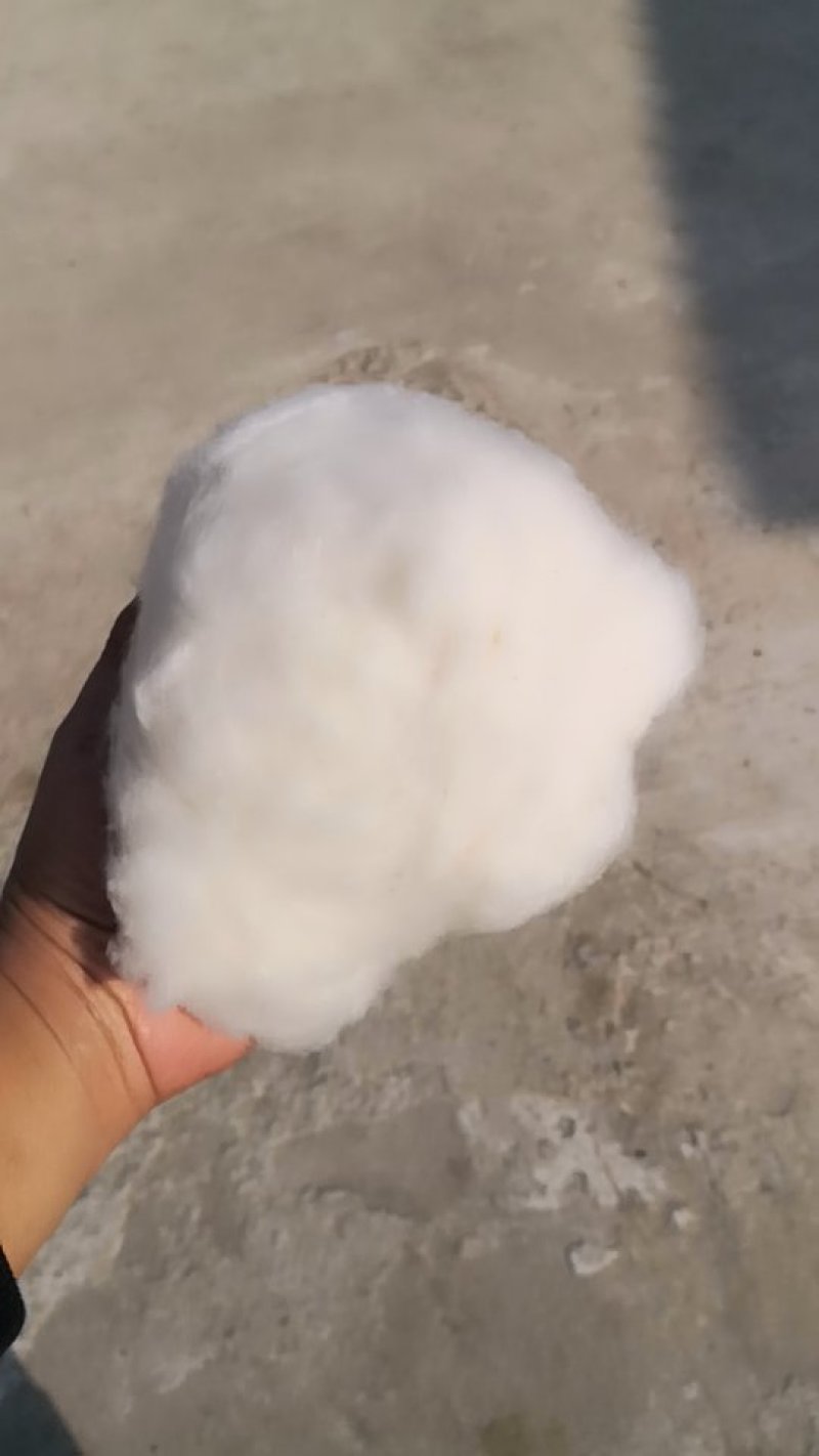 皮棉