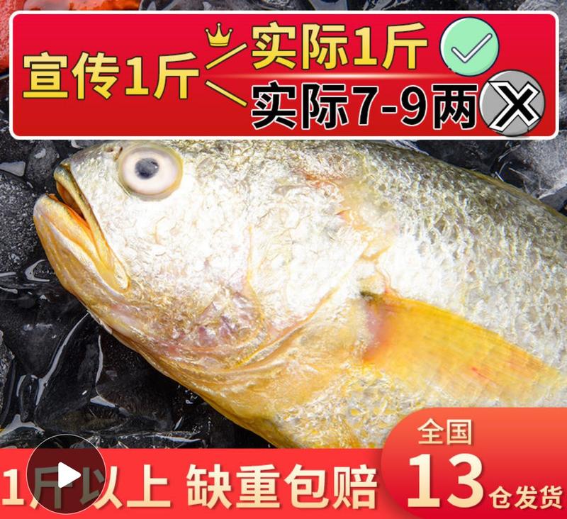 【特价】东海大黄花鱼新鲜冷冻大黄鱼小黄鱼小黄花鱼新鲜捕捞
