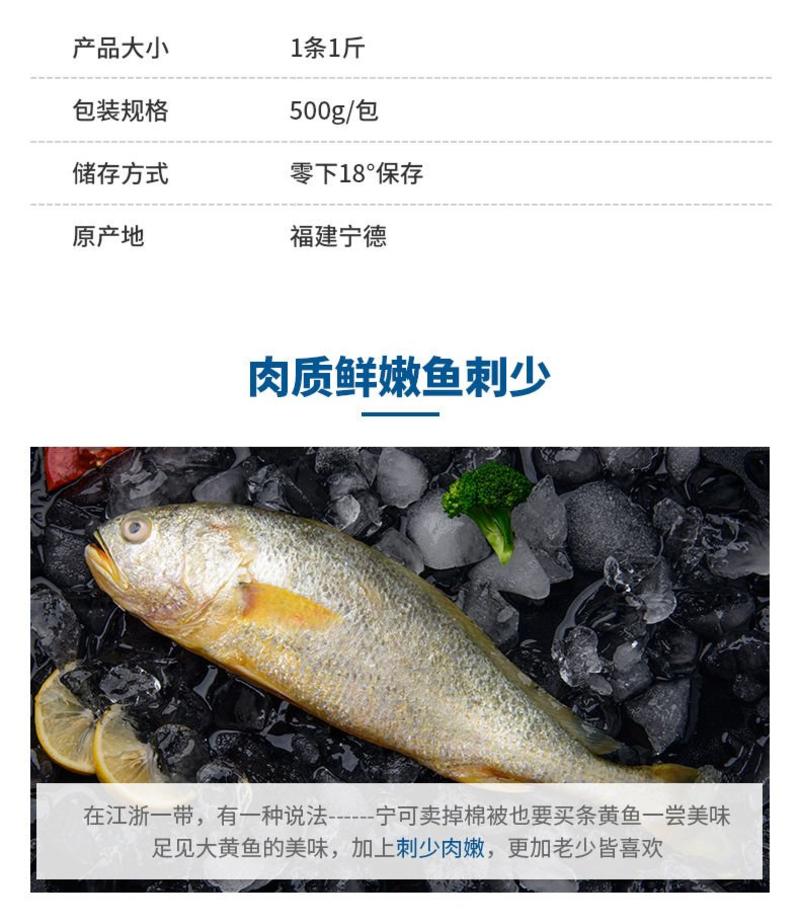 【特价】东海大黄花鱼新鲜冷冻大黄鱼小黄鱼小黄花鱼新鲜捕捞