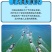 【特价】东海大黄花鱼新鲜冷冻大黄鱼小黄鱼小黄花鱼新鲜捕捞