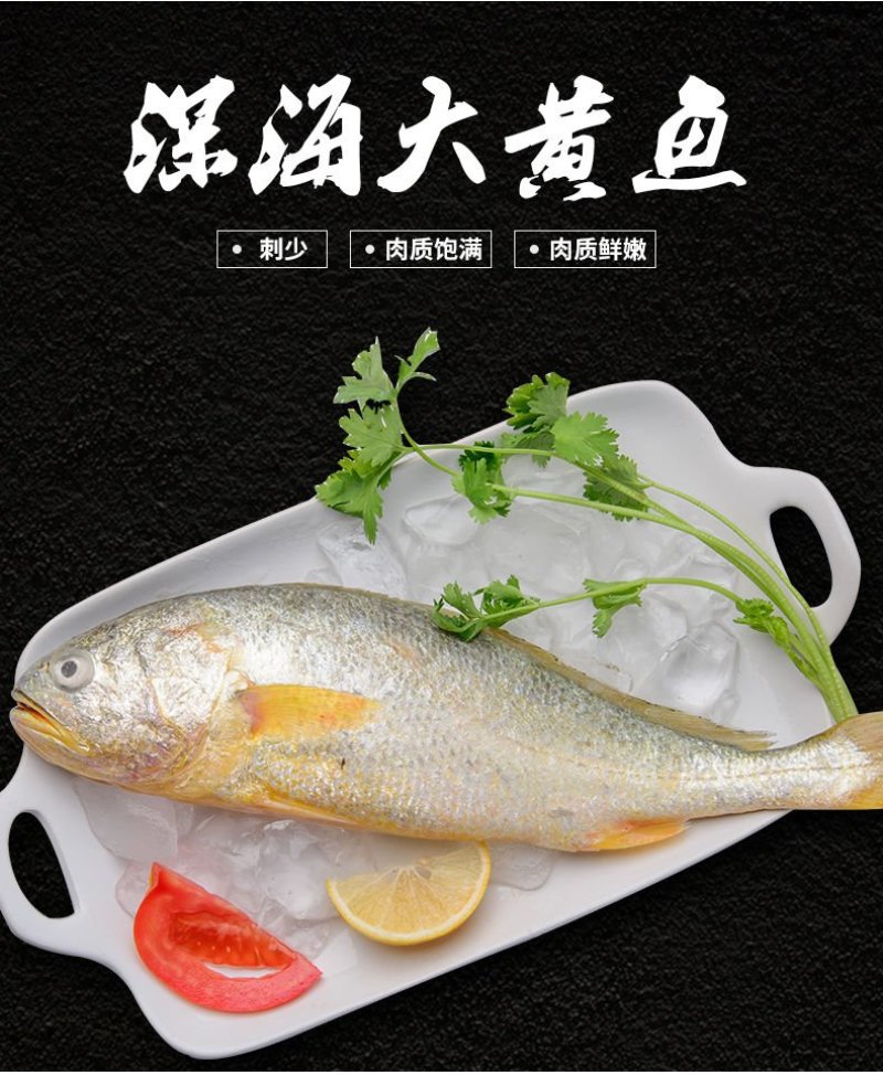 【特价】东海大黄花鱼新鲜冷冻大黄鱼小黄鱼小黄花鱼新鲜捕捞