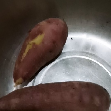 自家红薯处理