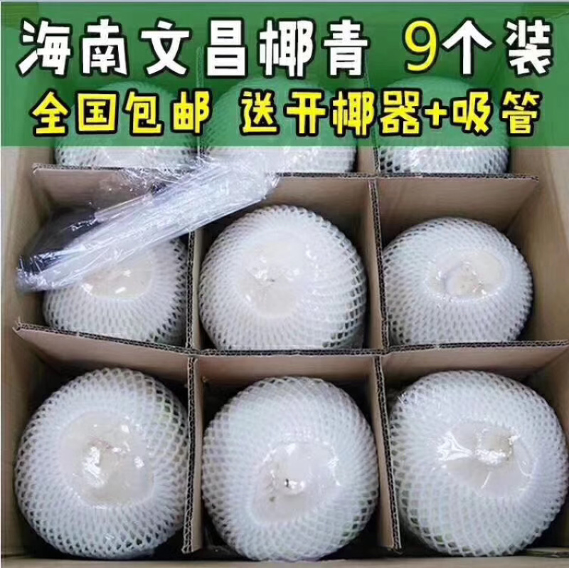 精品厂家直销椰子海南椰青9个装送开椰器一件代发
